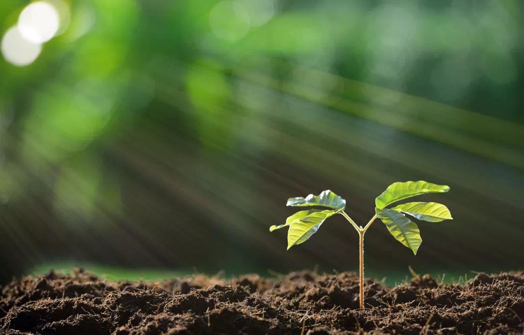 AG真人APP下载_AG真人·「中国」官方网站